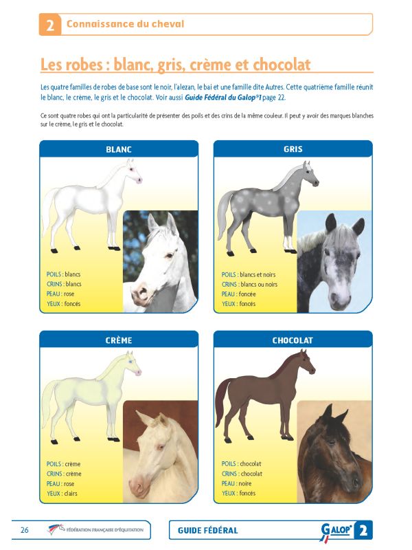 Guide fédéral Galop 2 FFE - connaissance du cheval