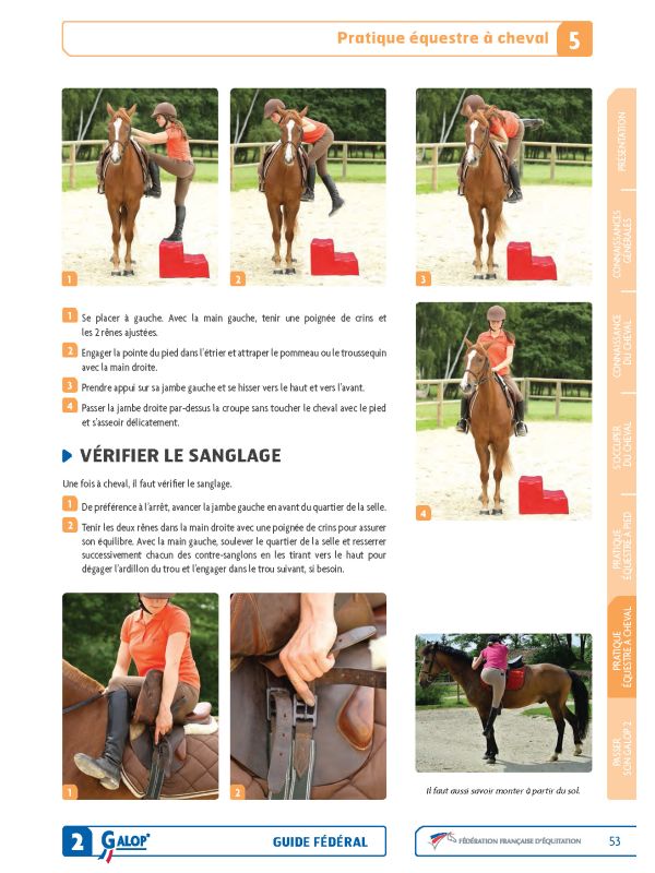 Guide fédéral Galop 2 FFE - pratique équestre à cheval