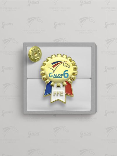 Insigne Galop® 6