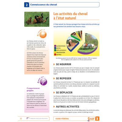 Guide fédéral Galop 3 FFE - connaissance du cheval