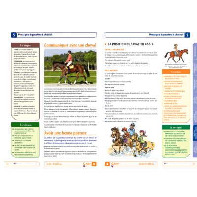 Guide fédéral Galop 3 FFE - pratique équestre à cheval