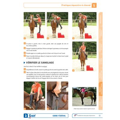 Guide fédéral Galop 2 FFE - pratique équestre à cheval