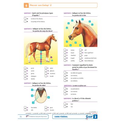 Guide fédéral Galop 2 FFE - passer son galop 2